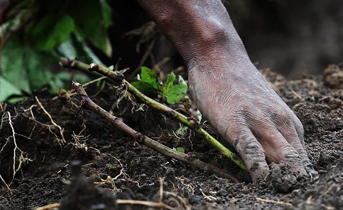 Make an impact with our Impact a Life Sustainability program