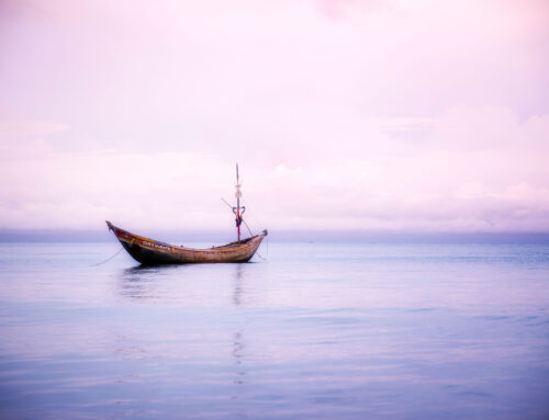 Holistic Understanding of God’s Vision: Part 1